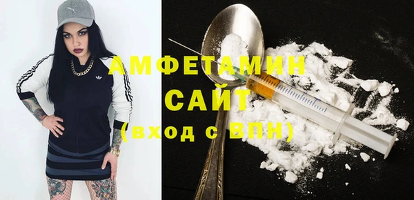 шишки Алзамай