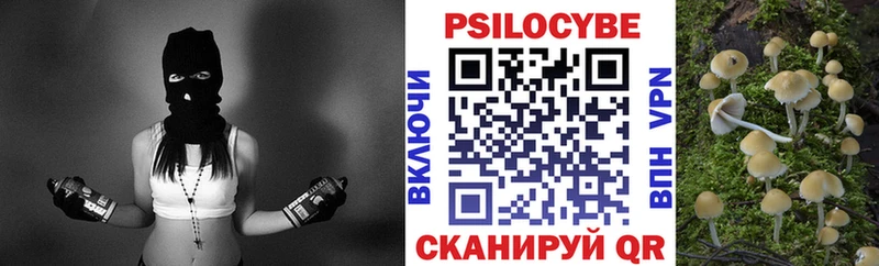 где можно купить наркотик  Нижнеудинск  площадка клад  Галлюциногенные грибы Magic Shrooms 